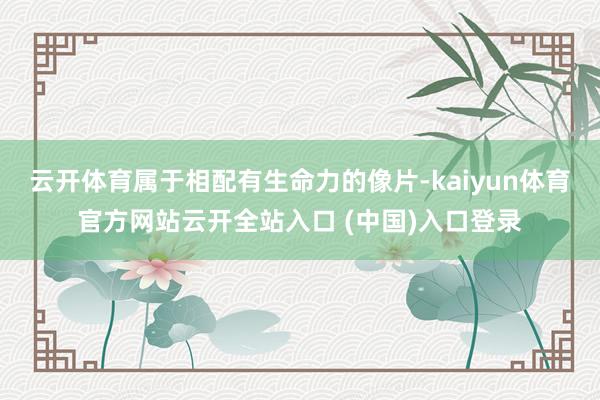 云开体育属于相配有生命力的像片-kaiyun体育官方网站云开全站入口 (中国)入口登录