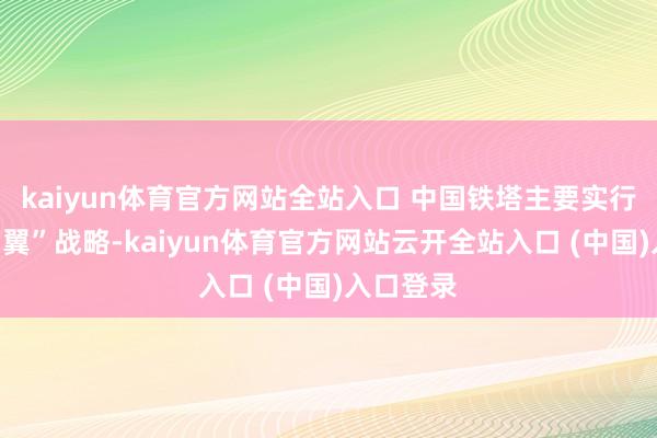 kaiyun体育官方网站全站入口 中国铁塔主要实行“一体两翼”战略-kaiyun体育官方网站云开全站入口 (中国)入口登录