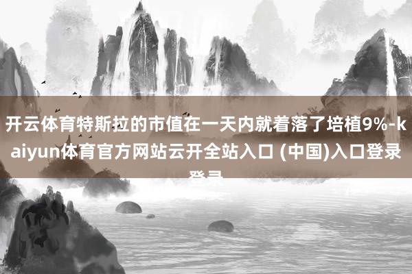 开云体育特斯拉的市值在一天内就着落了培植9%-kaiyun体育官方网站云开全站入口 (中国)入口登录